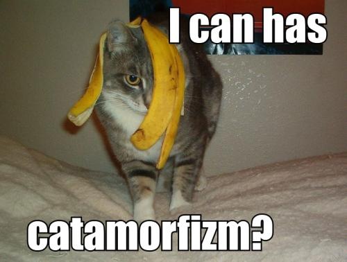 I can has catamorfizm?