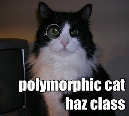 polymorphic cat haz class