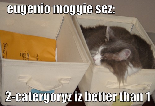 eugenio moggie sez&colon; 2-catergoryz iz better than 1