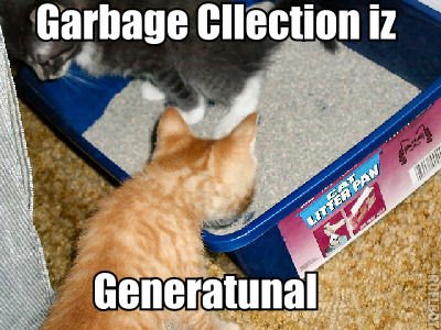 Garbage Cllection iz Generatunal