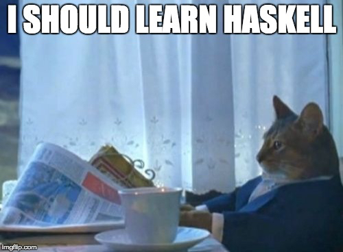 I SHOULD LEARN HASKELL