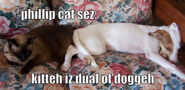 phillip cat sez: kitteh iz dual of doggeh